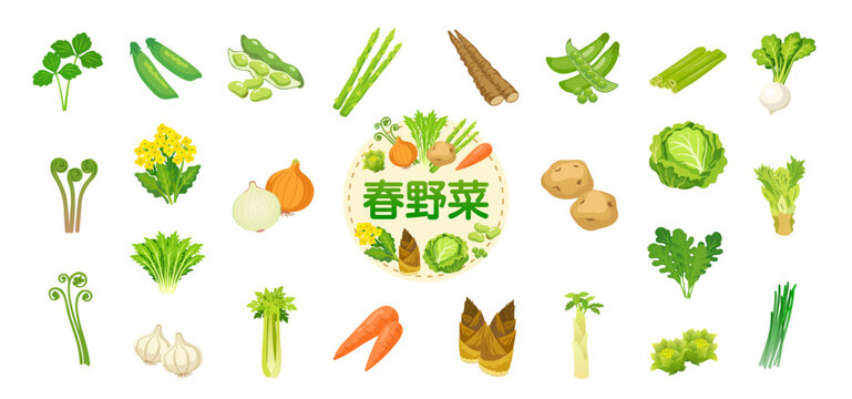 春野菜のベクターイラストセット｜アスパラガス・菜の花・たけのこ・新玉ねぎなど春の食材コレクション