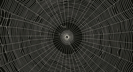 Fototapeta premium Spider web with dew drops on a dark background forming a delicate circular pattern texture illustration