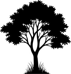 Obraz premium lone tree with gently curved branches and base grass Vector Art
