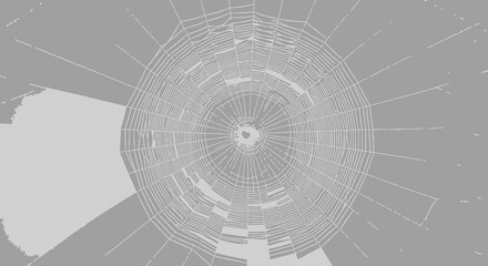 Obraz premium Abstract black and white vector background featuring a 3d spider web pattern with circular lines and glass architecture textures forming a digital technology tunnel network illustration