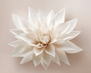Elegant White Paper Flower On Beige Background