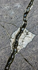 Intricate Vein Structure in Rock Formation.