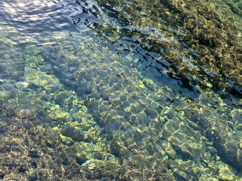  Transparent sea water with underwater stones and algae.