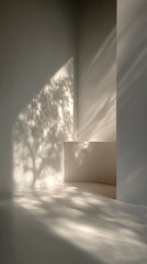 Abstract Interior Shadow Play With Natural Light