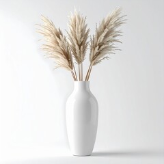 Elegant White Ceramic Vase Holding Tall Dried Pampas Grass Stems Illuminated by Soft Natural Light Against a Clean White Background
