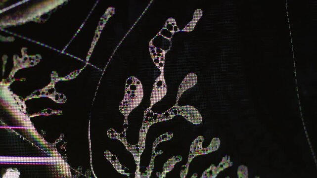 Digital frequency. Signal technology. Yellow dark black color noise vibration liquid waves pink broken lines pattern on art abstract bokeh background.