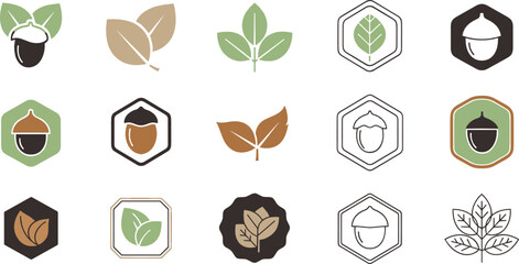 Acorn and leaf badge icon collection with autumn botanical symbols representing nature, forest, harvest, and organic design illustrated in flat vector style © MstNazma