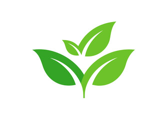 Obraz premium Simple green leaves nature eco logo design featuring three fresh organic plants.