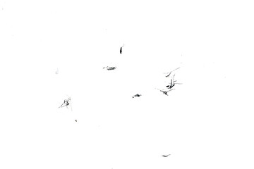 Obraz premium Black eraser scrap, shavings pattern isolated on white background, top view, clipping path 