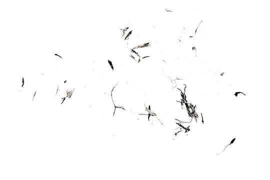 Black eraser scrap, shavings pattern isolated on white background, top view, clipping path	