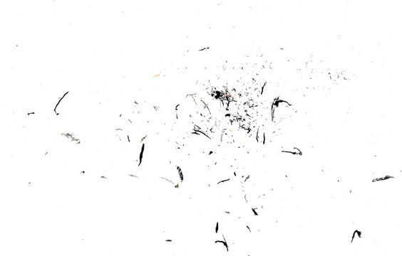 Black eraser scrap, shavings pattern isolated on white background, top view, clipping path	