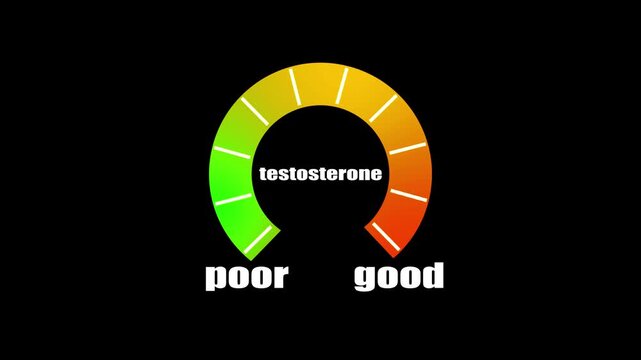 Digital testosterone meter icon