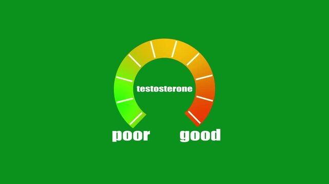 Digital testosterone meter icon