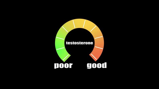 Digital testosterone meter icon