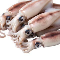 A close-up of fresh baby squid against a white background

