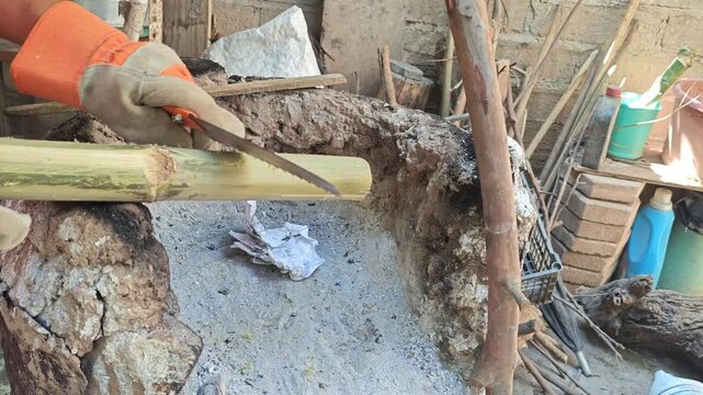 Cutting bamboo cane with a broken manual handsaw