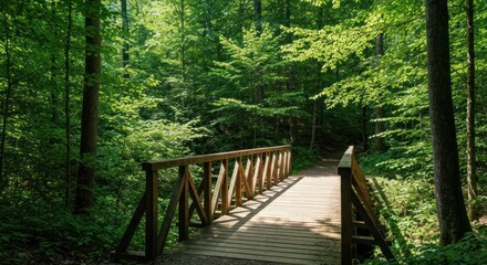Fototapeta premium Wooden bridge spans path in a lush green forest, dappled sunlight