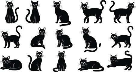 Black cat silhouettes collection, domestic feline characters in various poses like sitting walking and lying, pet animal vector illustrations set. © Shopna