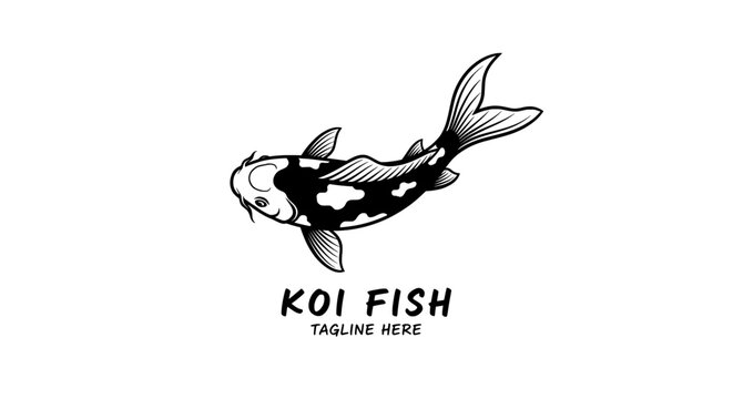 Koi fish illustration in black and white sketch style