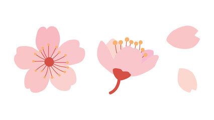 ピンクの桜の花びら素材セット