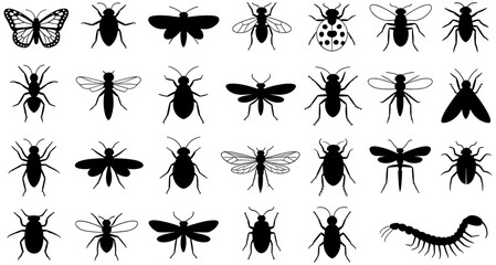 Fototapeta premium Insect silhouette icon set, entomology illustration, butterfly and beetle design, dragonfly and ant shapes, black and white arthropod art, biological classification symbols