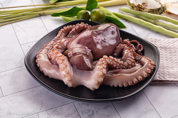 Gourmet luxury raw wild octopus © Andrei Starostin