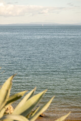 Ocean view with distant sailboat and coastal plants in Cascais