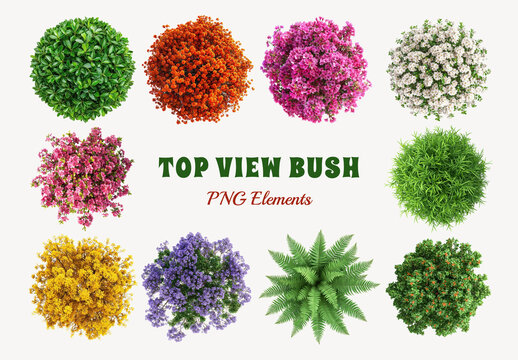 Colorful Top View Bush Element Design Set
