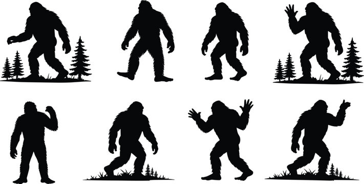 Bigfoot Sasquatch Silhouette Set Collection in Various Poses Isolated on White Background, Legendary Forest Cryptid Vector Illustration Pack