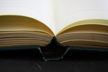 Fototapeta premium Open Book's Binding and Pages: Close-Up Shot for Study, Reading, and Literary Themes