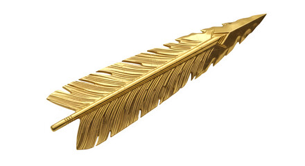 Golden feather with intricate details on a black background