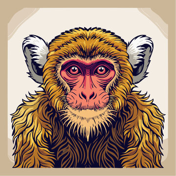 Illustration of a monkey with distinctive colorful fur and ears closeup
