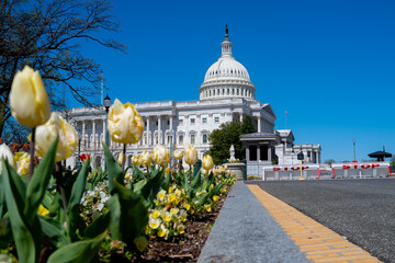 Washington spring sunny blue sky. Washington landmark monument architecture. Washington historic usa city. Washington american government patriotic. © Volodymyr