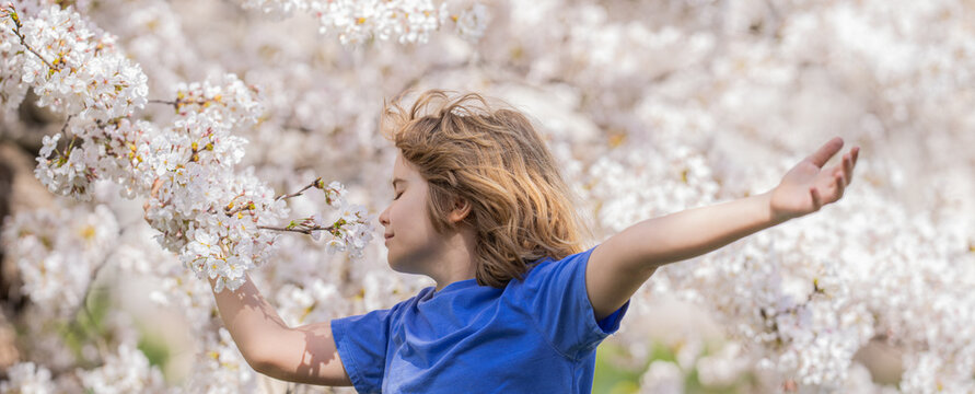 Carefree kid with raised hands meditating, feeling calm near cherry blossom tree. Kid relaxed on spring nature. Kid closed eyes and feeds energy of nature, dreams. Happy child during spring blossom.