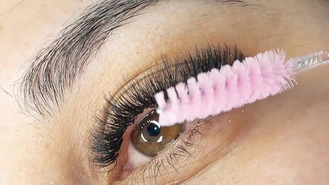 Close up of female eye with eyelash extensions ,eyelash extension procedure.2d volume, 3d volume, classical lashes,Russian volume,mega volume, new set.