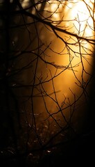Ethereal light pierces shadowed branches, awakening dormant earth in velvety contrast,  awakening earth,  deep mood