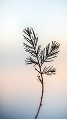Frosted glass pane reveals minimalist pine sprigs, a crystalline study of nature's quiet artistry,  composition,  serene