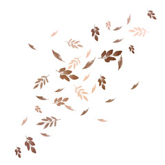 Fototapeta premium Autumn Fall PNG Transparent Illustration