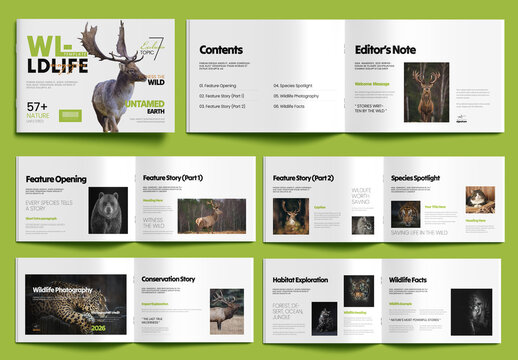 Wildlife Photography Magazine Template