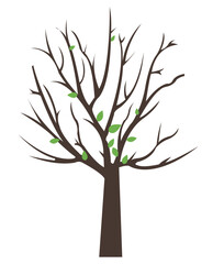 Fototapeta premium Barren Tree Vector Image 