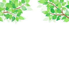 新緑のフレーム1_正方形