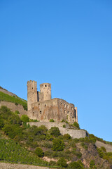 Obraz premium Mittelrhein, Burg Ehrensfels