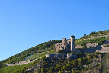 Obraz premium Mittelrhein, Burg Ehrensfels