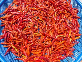 Fresh chilies were placed on a plate.