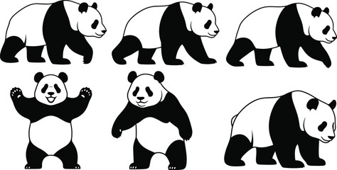Set of giant panda vector illustrations in different poses including walking and standing, cute wildlife animal characters, black and white. © Shain