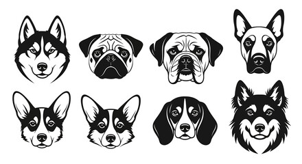Collection of various dog breeds illustrated in black and white, showcasing different facial expressions and features from a front view.