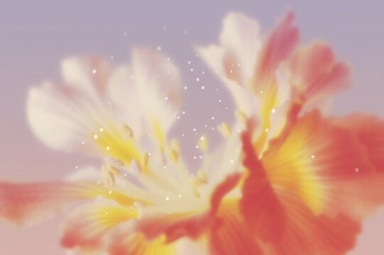 抽象的, ぼかし, フラワーアート, 花, 柔らかい色, パステルカラー, アート写真, 背景用, 穏やか, やさしい雰囲気, ドリーミー, ピンク, オレンジ, ライトブルー, 霞んだ, 美しい背景, ふんわり, 柔らかい, 植物, 自然, 風景, 静けさ, 癒し, ソフトフォーカス, スローフォト, 花びら, 春, 芸術的, エレガント, グラデーション, ロマンチック, クリーン, ミニマル