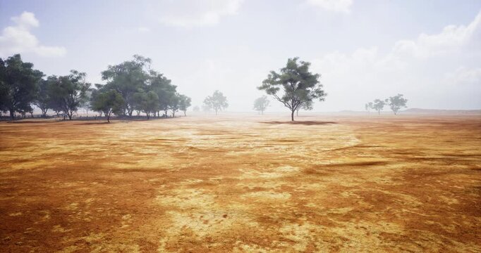 A dry, expansive landscape features scattered trees against a hazy sky. The ground is visibly parched, suggesting an arid environment. Wispy clouds drift above.