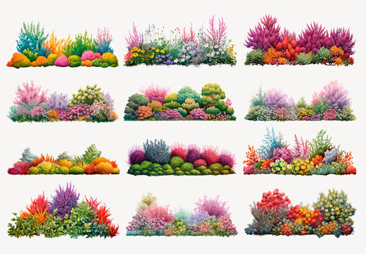 Vibrant Underwater Coral Element Design Set