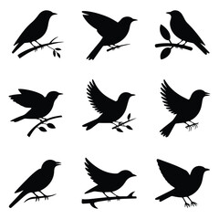 Obraz premium Nine black bird silhouettes on branches and in flight against white background